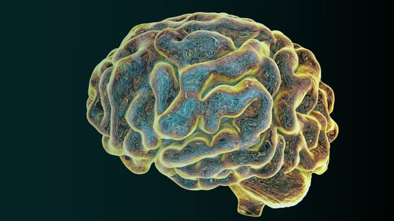 digitally generated brain representing intelligence concept