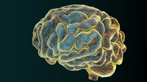 digitally generated brain representing intelligence concept