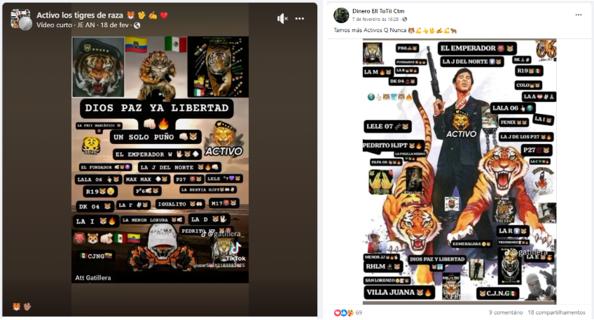 Screenshots of gang-themed social media posts from Facebook and TikTok featuring stylized imagery of tigers, weapons, gang nicknames, and coded phrases used by Ecuadorian criminal groups to promote identity, unity, and recruitment.